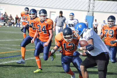 Se buscan nuevos Lions