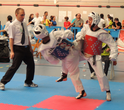 El taekwondo, una de las disciplinas más espectaculares 