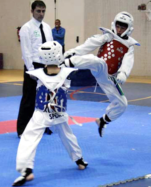 El taekwondo granadino exhibe su potencial