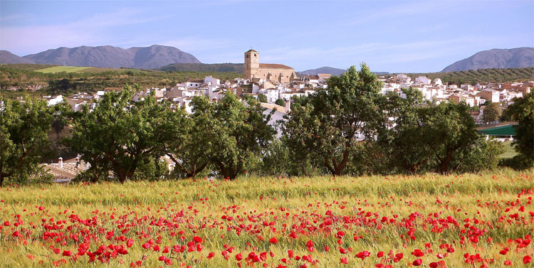 Panorámica de la localidad de Alhama de Granada (ARCHIVO)