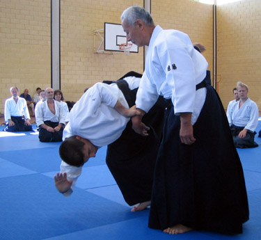 Demostración de Aikido 