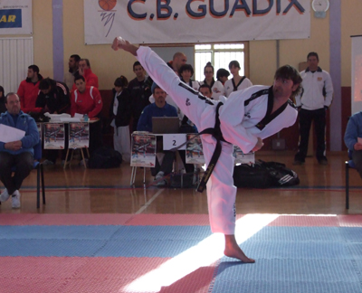 Guadix disfrutará con el Taekwondo