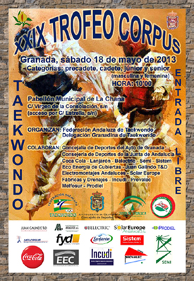 Una gran cita para el taekwondo provincial