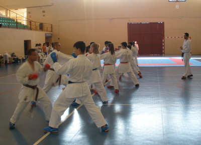 Karatekas granadinos durante uno de los ejercicios 