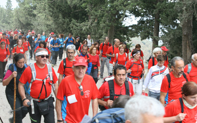 La iniciativa contó con una gran participación 