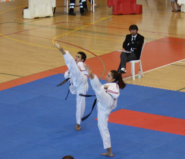 El taekwondo granadino no para de cosechar éxitos 