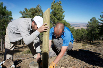 Colocación de las primeras balizas del camino de los arrieros