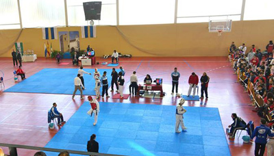El taekwondo granadino se hizo con varios metales 