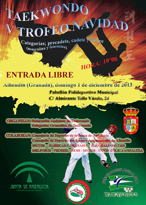 Cartel del Torneo Navidad 2013