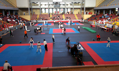 Panorámica del Palacio Municipal de Deportes Vista Alegre de Córdoba (GRJ)