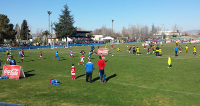 El torneo se ha convertido en una fiesta d el fútbol base granadino 