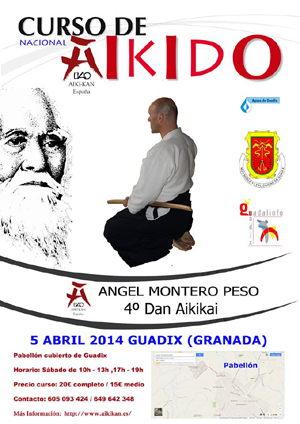 Cartel del curso de aikido 