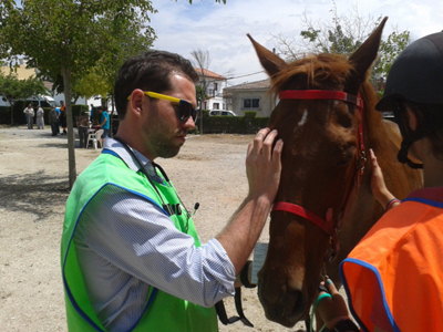 Uno de los caballos participantes en el Raid hípico 