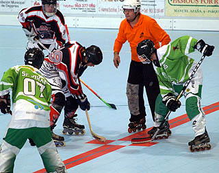 Granada Grizzlies, único representante andaluz en la Liga de Hockey 