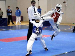 El taekwondo granadino vuelve a demostrar su gran nivel 