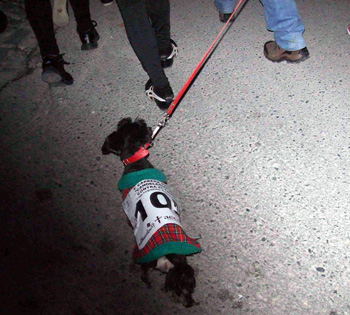 Un participante de cuatro patas en la carrera (GRJ)
