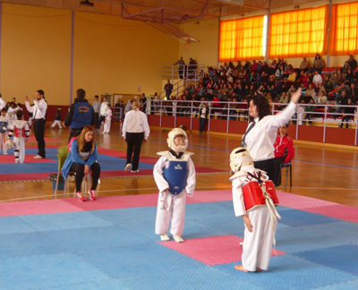 El taekwondo fue portagonista en Guadix 