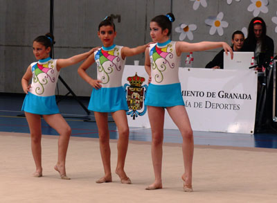 Participantes del torneo 