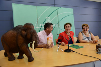 Presentación de la prueba 