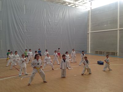 Taekwondo solidario 