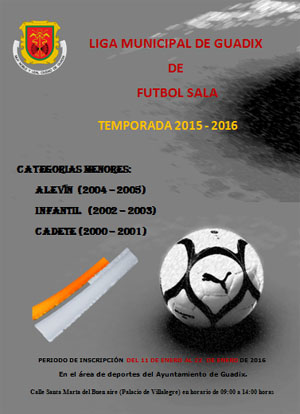 Cartel de la Liga Municipal de Fútbol Sala de Guadix