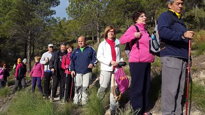 Ruta por el Valle del Guadalfeo 