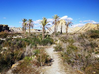 Uno de los paisajes que atravesará la ruta 