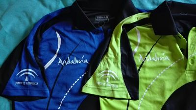 El equipo granadino luchará por el ascenso 