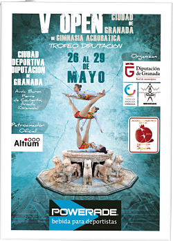 Cartel de la competición 