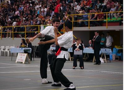 Huétor Tájar, epicentro del Kung fu autonómcio 