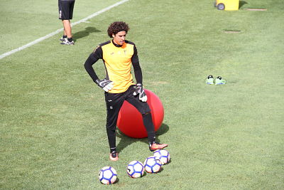 Ochoa defenderá los colores de México 