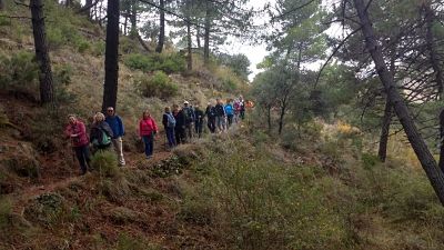 Los senderistas recorreun un tramo del recorrido 