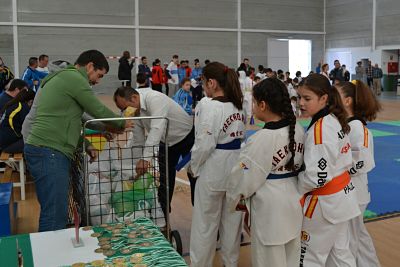 Participantes en el torneo 