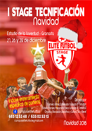Cartel del stage 