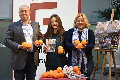 Presentación de la prueba 