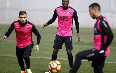 Pereira no se perderá ningún encuentro (GRANADA CF)