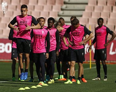 El equipo ha trabajado en Los Cármnes (GRANADA/VILLOSLADA)