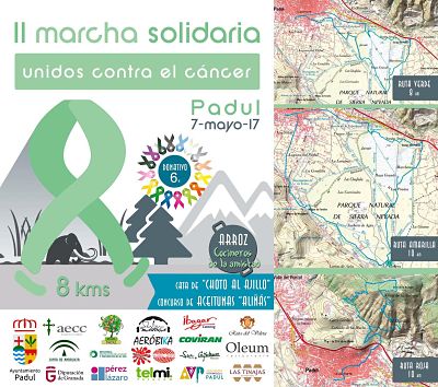 Cartel de la marcha solidaria 