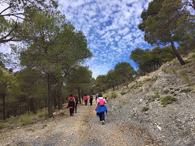 Un tramo del recorrido 