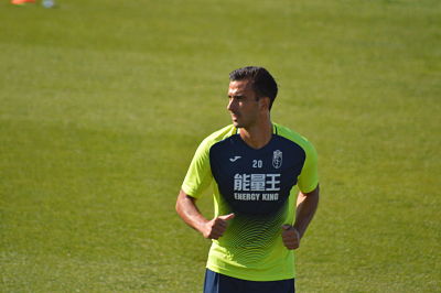 El galo sigue recuperándose 