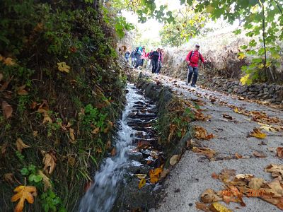 Los senderitstas en un tramo de la ruta 