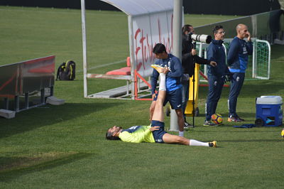 Flores ha estado estirando sobre el césped 