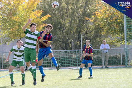 El Celtic perdió en casa y se aleja del liderato (ARCHIVO)