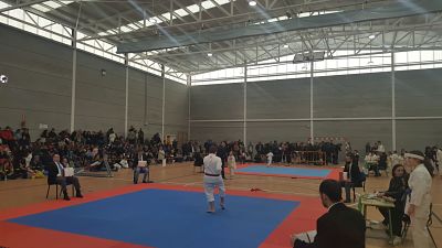 III Campeonato de Kárate Cúllar Vega celebrado este fin de semana