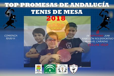 La mejores promesas del Tenis de Mesa granadinas se daran cita en Cullar Vega