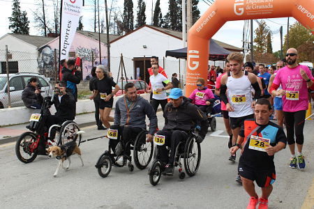 Pinos Puente acogió la V carrera inclusiva de Fegradi (AYTO. PINOS PUENTE) 