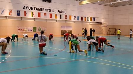 Las selecciones andaluzas de balonmanoseguiran con su preparación en Granada (FABM)