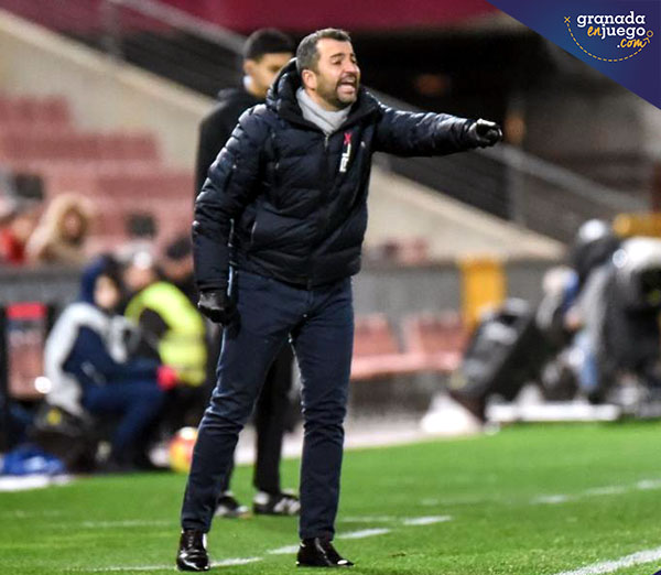 Diego Martínez, entrenador del Granada CF, en un momento del encuentro (JOSÉ M. BALDOMERO)