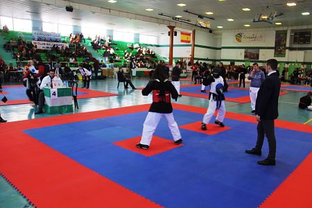 Campeonato de Andalucia de Kenpo celebrado en Almuñécar (AYTO. ALMUÑÉCAR)