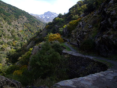 Vereda de la Estrella de Güejar Sierra (AYTO. GüEJAR SIERRA)